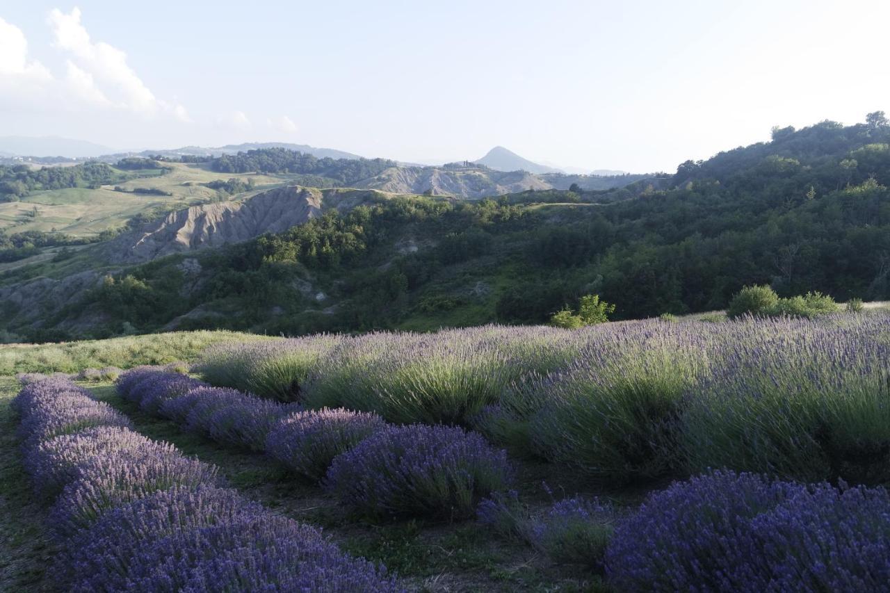 Casale Monte Valestra Bed & Breakfast Bebbio Bagian luar foto
