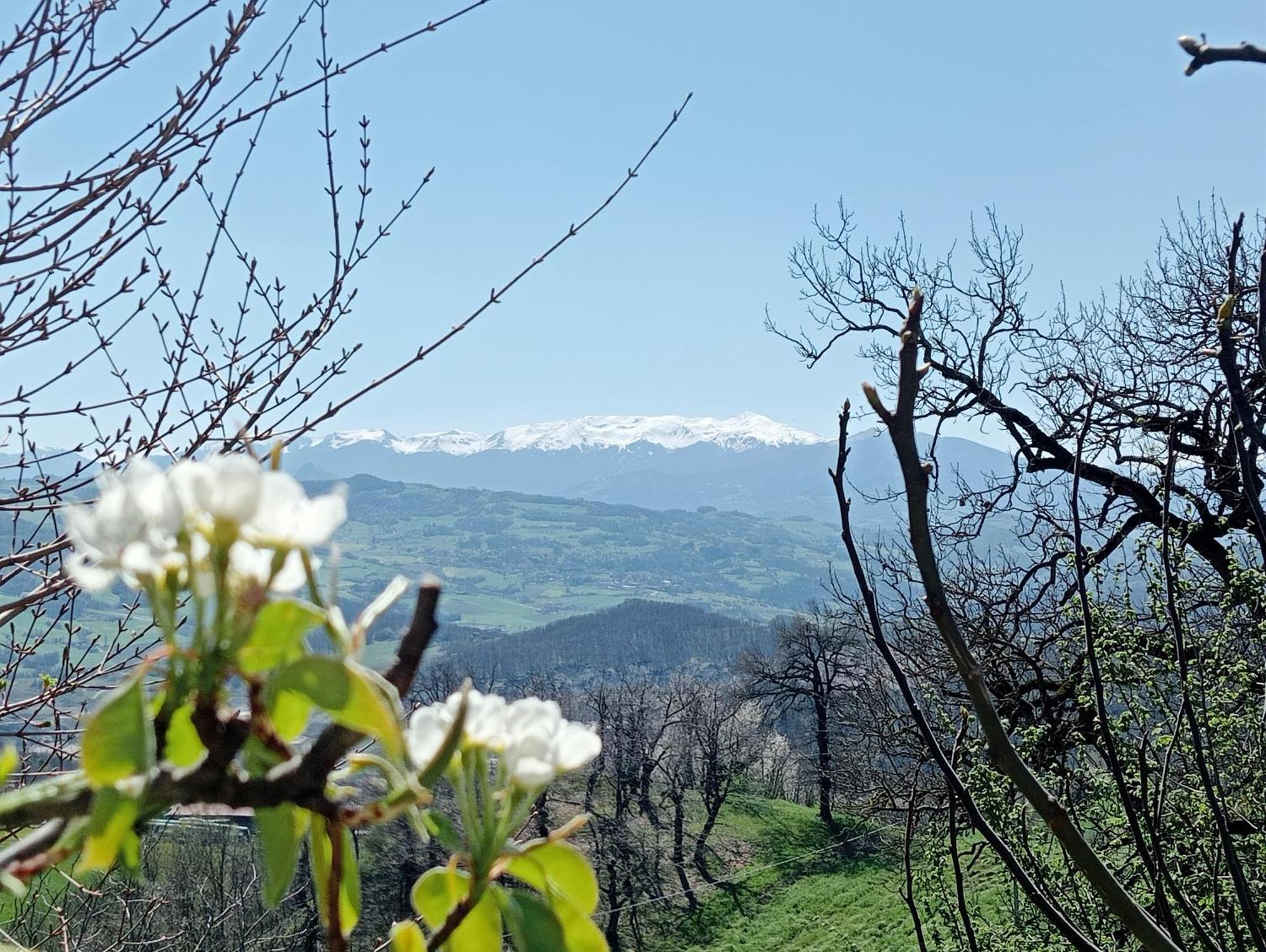 Casale Monte Valestra Bed & Breakfast Bebbio Bagian luar foto